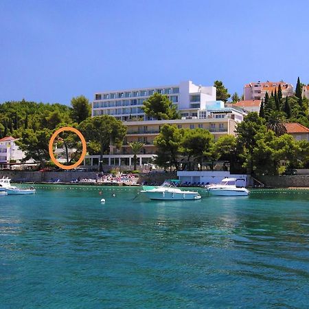 Apartments Rina Cavtat Exteriér fotografie